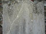 image of grave number 629716